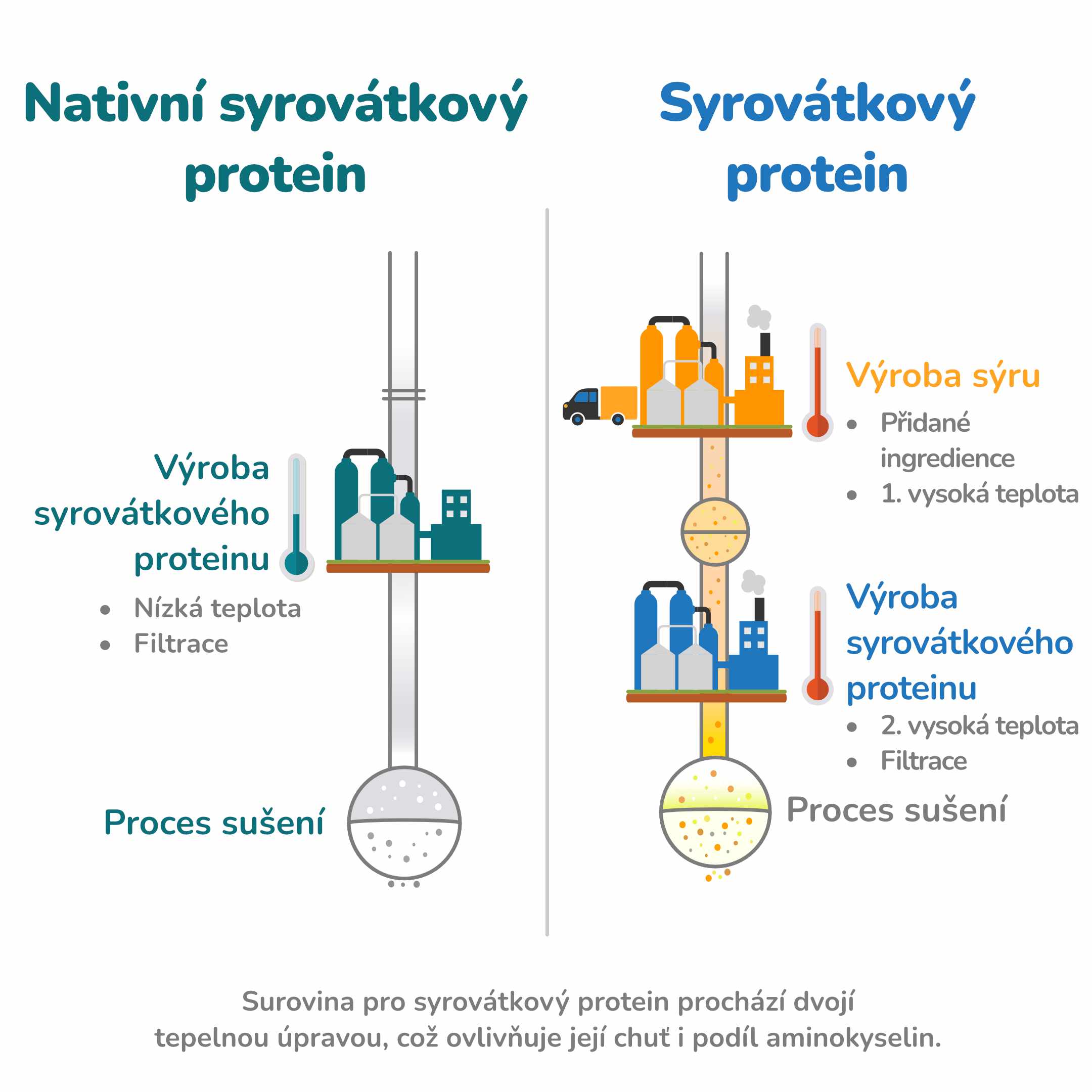 Vyroba proteinu_1